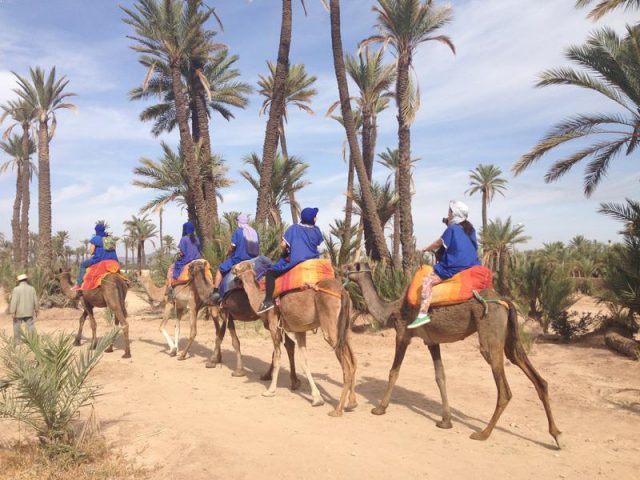 Camel-ride-Marrakech-Morocco-Camel-Trekking