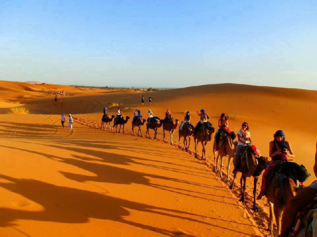 https://www.moroccodesertvip.com/wp-content/uploads/2018/11/camel-desert-trek-11-640x480.jpg