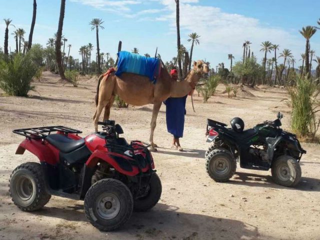 https://www.moroccodesertvip.com/wp-content/uploads/2018/11/quad-and-camel-ride-combined-640x480.jpg
