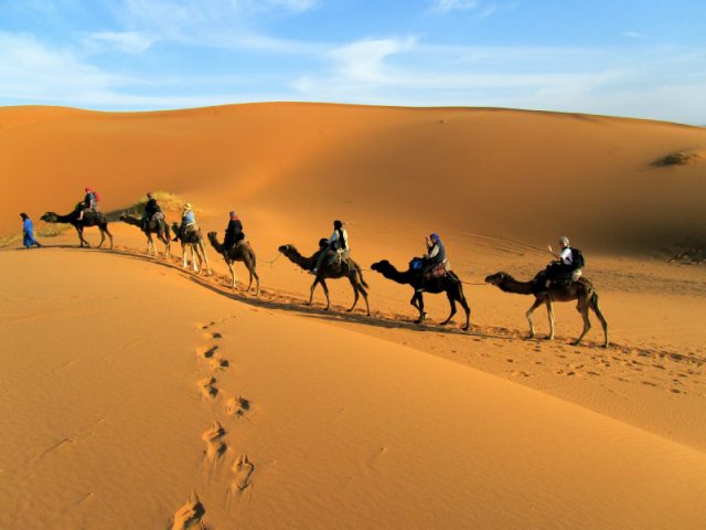 https://www.moroccodesertvip.com/wp-content/uploads/2019/01/camel-trekking-640x480.jpg